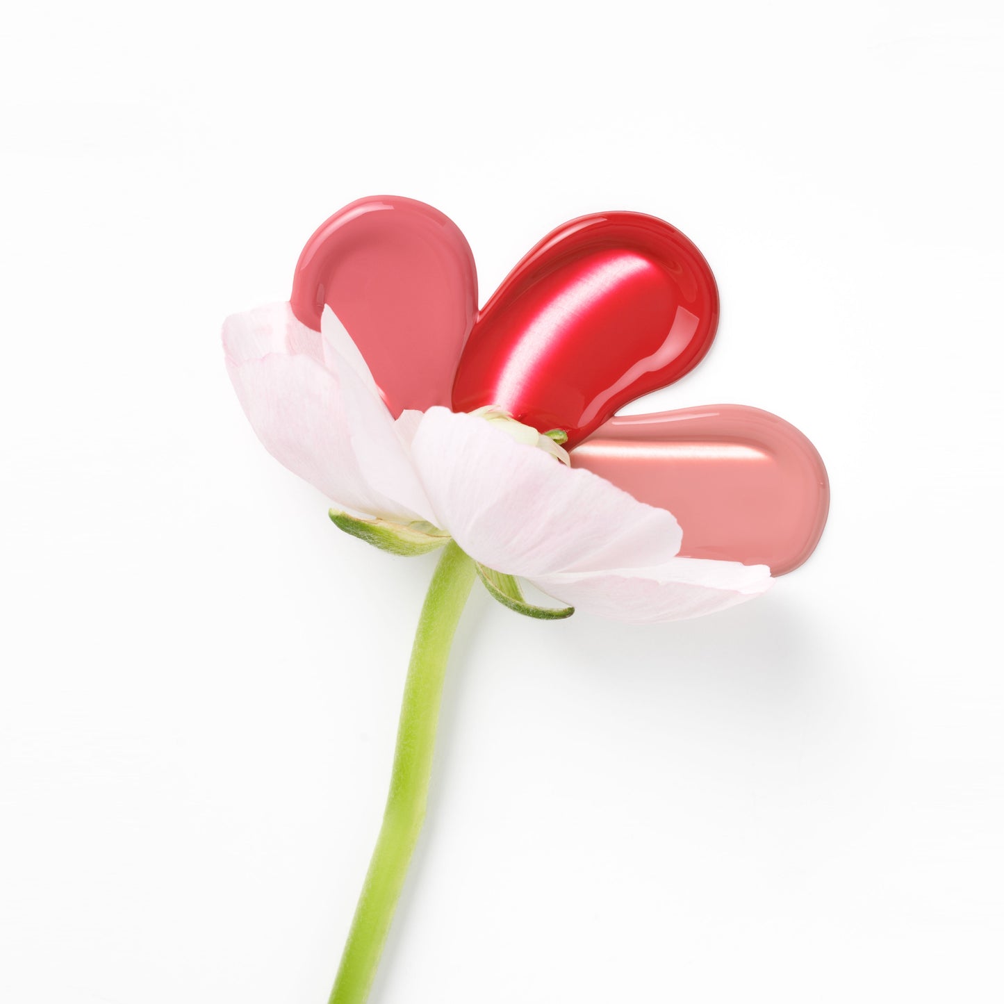 Rouge à Lèvres Liquide - Bloom Loud